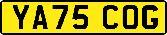 YA75COG