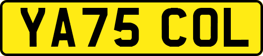 YA75COL