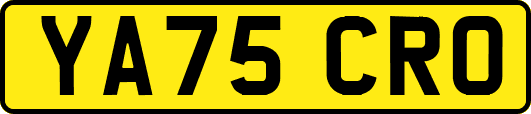 YA75CRO