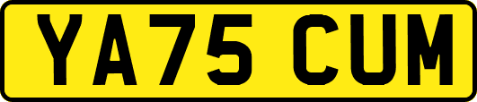 YA75CUM