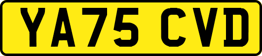 YA75CVD