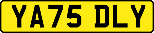 YA75DLY