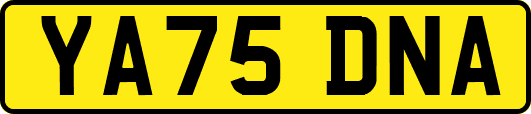 YA75DNA