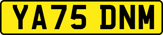 YA75DNM