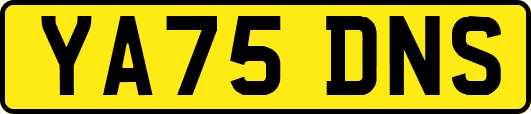 YA75DNS