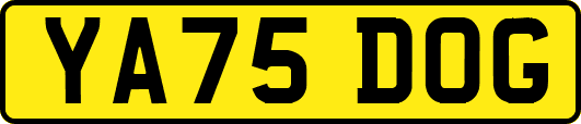 YA75DOG