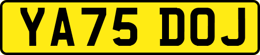 YA75DOJ