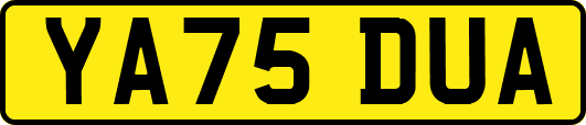 YA75DUA