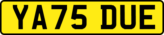 YA75DUE
