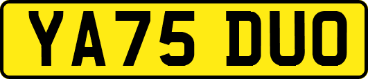 YA75DUO