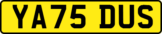 YA75DUS