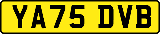 YA75DVB