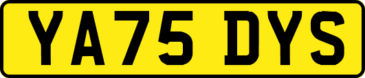 YA75DYS