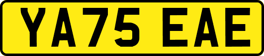 YA75EAE