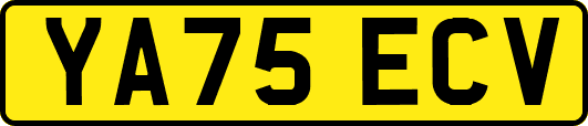 YA75ECV
