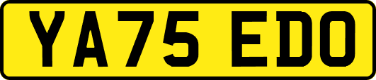 YA75EDO