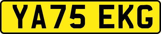 YA75EKG