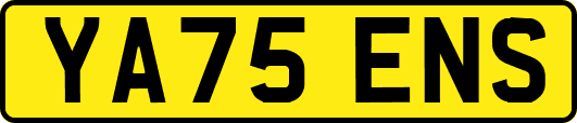 YA75ENS