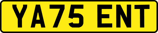 YA75ENT