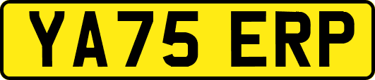 YA75ERP