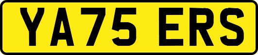 YA75ERS
