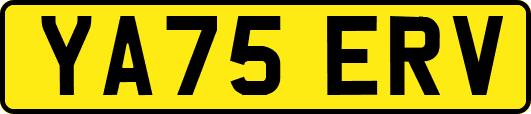 YA75ERV