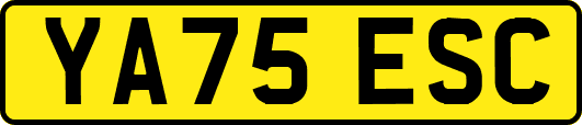 YA75ESC