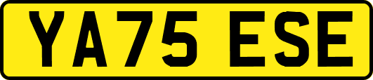 YA75ESE