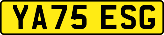 YA75ESG