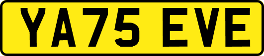 YA75EVE