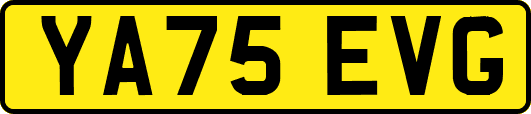 YA75EVG