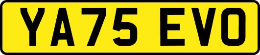 YA75EVO