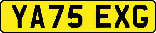 YA75EXG