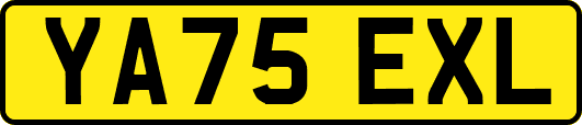 YA75EXL