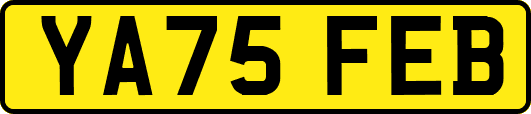 YA75FEB