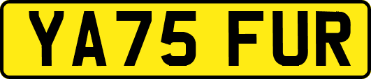 YA75FUR