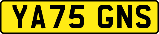 YA75GNS