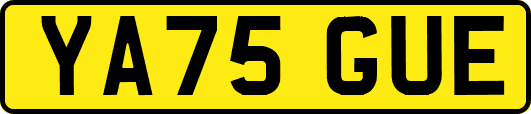 YA75GUE