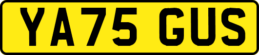 YA75GUS