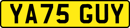 YA75GUY