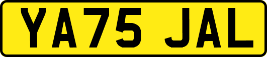 YA75JAL