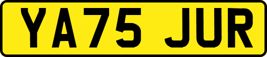 YA75JUR