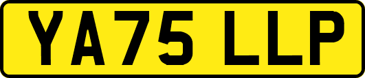YA75LLP
