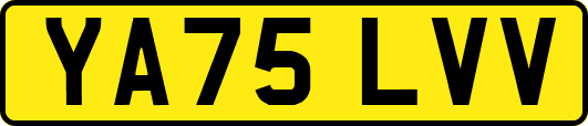 YA75LVV