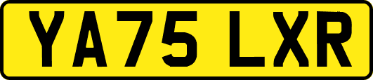 YA75LXR