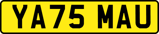 YA75MAU