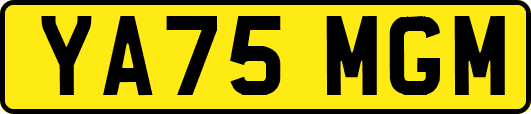 YA75MGM