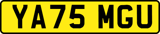 YA75MGU