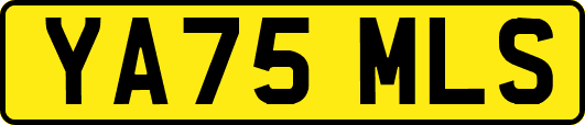 YA75MLS