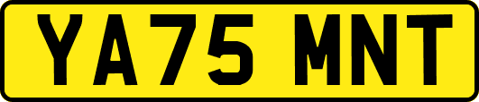 YA75MNT